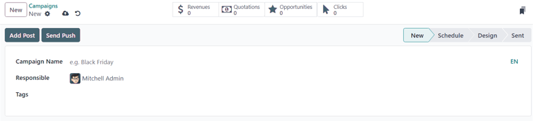 View of the blank campaign form in Cobuild Email Marketing.