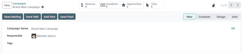 View of the campaign form in Cobuild Email Marketing.