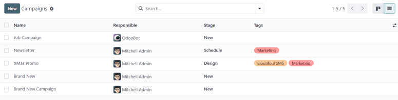 View of the campaign page in list view in Cobuild Email Marketing.