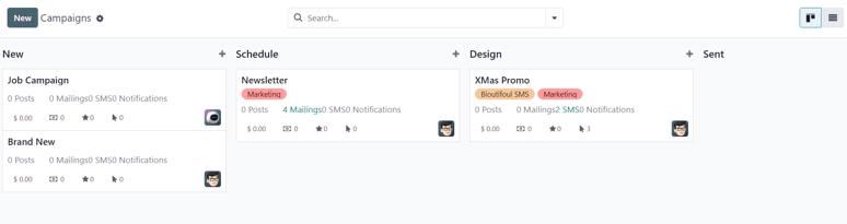 View of the campaign page in Cobuild Email Marketing.