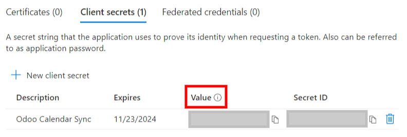 The "Client Secret" token to be copied from Microsoft to Cobuild.
