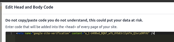 Paste tag in head field.