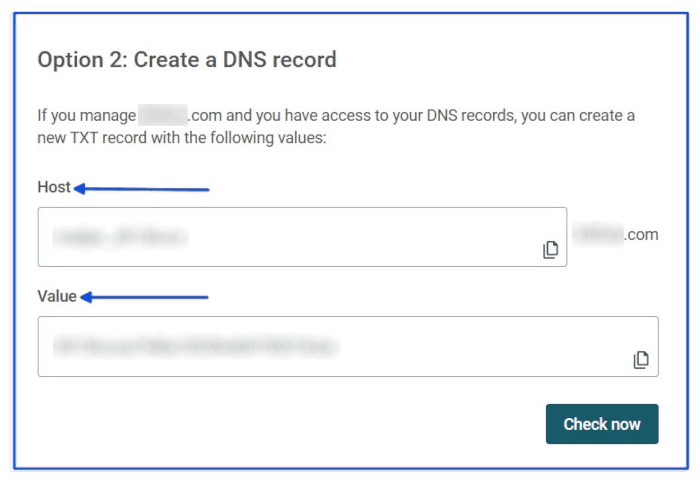 The TXT record information to input on the domain's DNS.