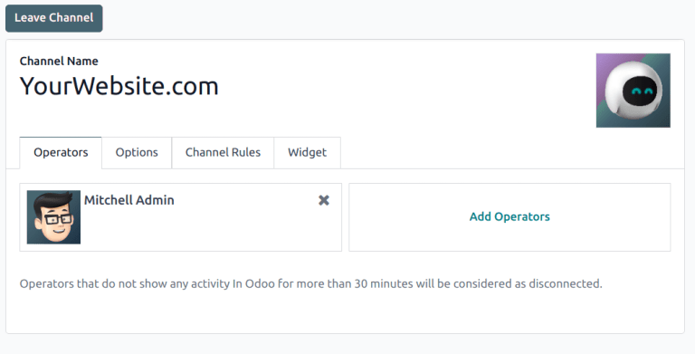 View of a live chat channel form for Cobuild Live Chat.