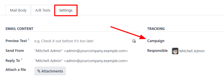 View of settings tab in Cobuild Email Marketing when campaign setting is activated.