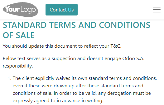Example of terms and conditions as a web page